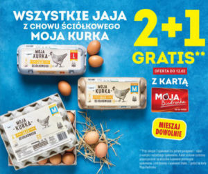 Giga promocje w Biedronce
