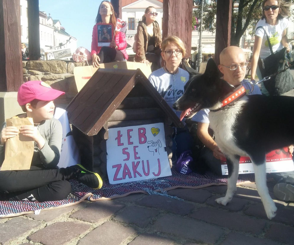 Zerwijmy łańcuchy! W weekend na rzeszowskim Rynku odbył się ważny happening