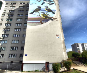 Mural Ptaki