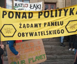 Wielki protest w Krakowie. Strajkowali w obronie klimatu 