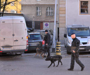 Skuli go bo chciał się zabić