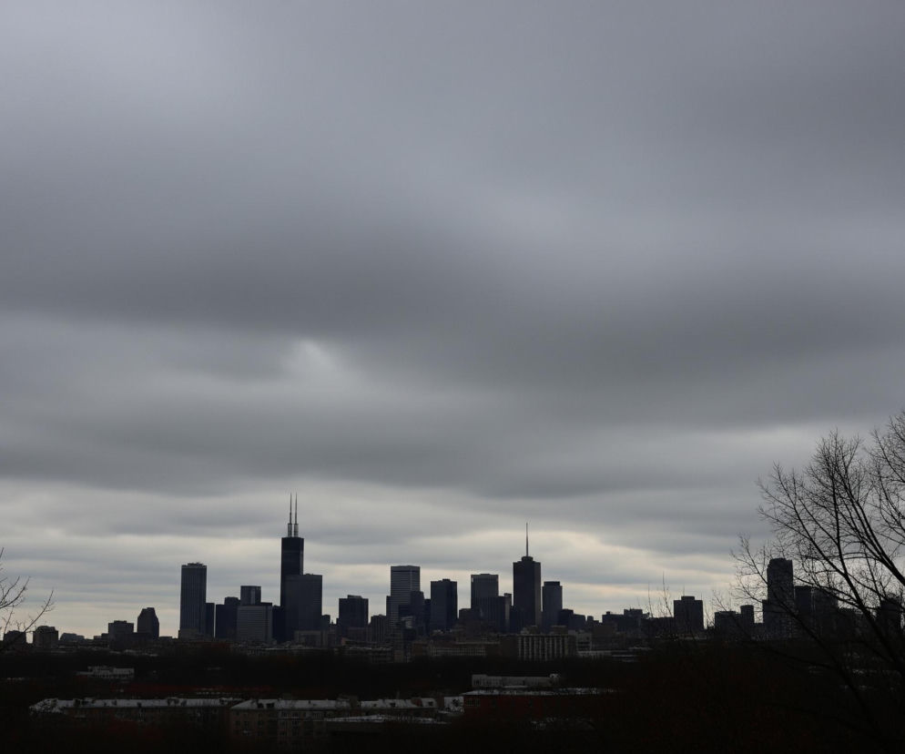Horyzontem dominuje panorama miasta złożona z licznych wieżowców, z których jeden wyróżnia się wysokością i dwoma smukłymi iglicami na szczycie. Sylwetki budynków są ciemne i konturowe na tle szarego, zachmurzonego nieba, które zajmuje większość górnej części kadru. Na pierwszym planie po obu stronach kadru widoczne są gałęzie bezlistnych drzew, których cienkie konary tworzą gęstą, ciemną sieć, zasłaniając dolną część widoku. Pomiędzy drzewami, poniżej linii horyzontu wieżowców, dostrzec można niższe budynki, częściowo schowane w cieniu.
