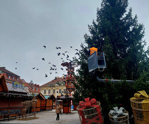 Choinka stoi. Most Staromiejski się stroi. Bydgoszcz rozbłyśnie już 21 listopada 2025. Rusza Bydgoski Jarmark Świąteczny