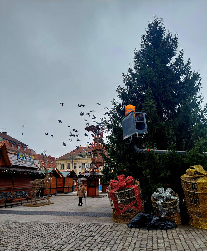 Choinka stoi. Most Staromiejski się stroi. Bydgoszcz rozbłyśnie już 21 listopada 2025. Rusza Bydgoski Jarmark Świąteczny