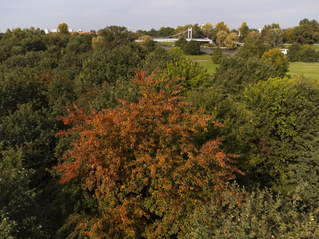Wrocław w połowie października 2022 roku 