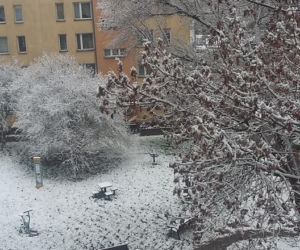 Zima Starachowice 29.11.2020