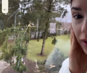 Wichura zrujnowała ogród Klaudii Halejcio