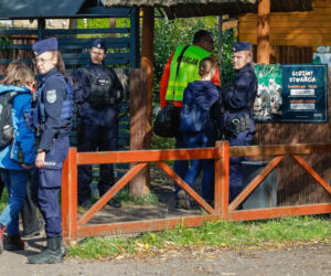Gdzie zabrano zwierzęta z ZOO Łączna? Ujawnili nowe szczegóły akcji