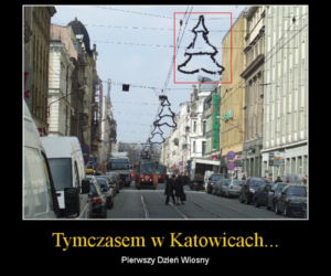 Memy na pierwszy dzień wiosny
