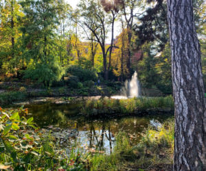 Jesień w ogrodzie botanicznym we Wrocławiu
