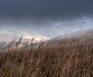 Bieszczady