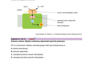 Matura 2026 z biologii ROZSZERZONEJ: arkusze CKE, poziom podstawowy [Formuła 2023] 08.05.2026