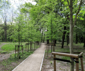 Park Tysiąclecia w Toruniu wygląda coraz piękniej! Zobacz efekty prac na lewobrzeżu