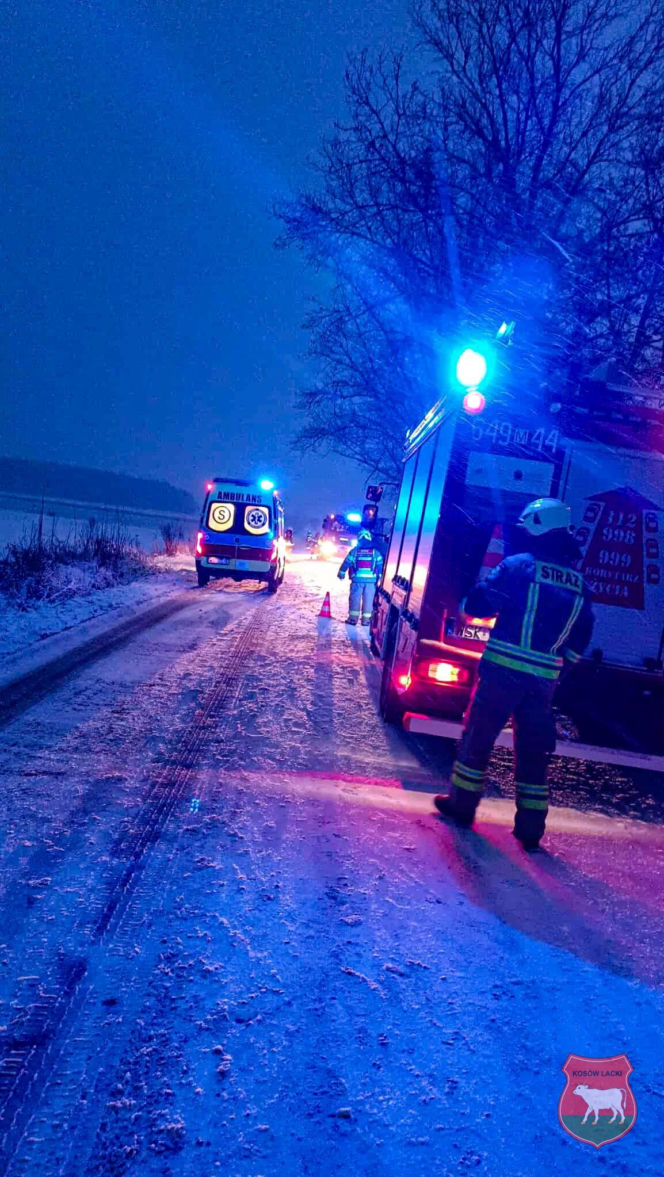 Auto uderzyło w drzewo