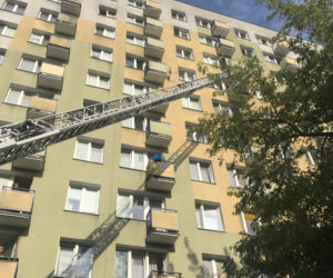 Brawurowa akcja strażaków na Pradze Południe