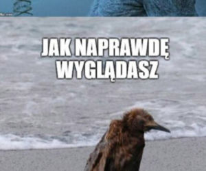 Morsowanie: MEMY 2021. Zobacz najlepsze obrazki i memy o morsowaniu! [ZDJĘCIA]