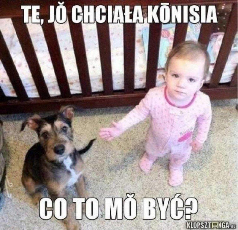 Memy o świętach Bożego Narodzenia po Śląsku