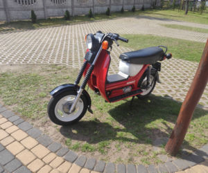 Legenda STARA 2021