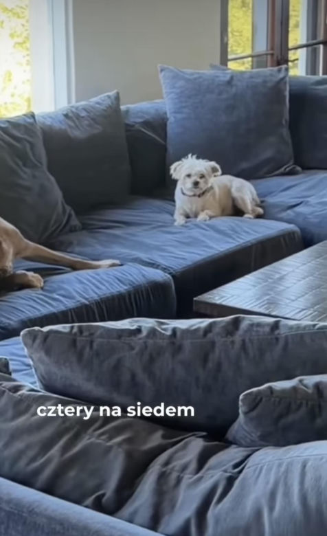 Tak mieszka Joanna Krupa