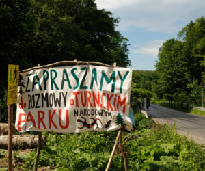 Zandberg płynie pod prąd