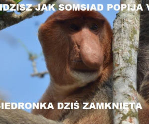 Zakaz handlu w niedziele - memy