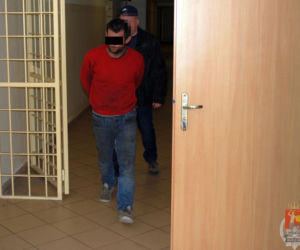 Policjanci wyciągnęli Małpę z dziupli