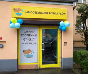 Samoobsługowa myjnia psów we Wrocławiu