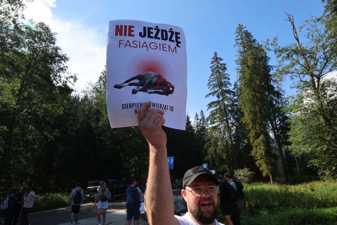 Protesty przeciwko konnemu transportowi nad Morskim Okiem