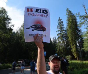 Znów awantura o konie nad Morskim Okiem. Zwierzęta dręczone czy nie?