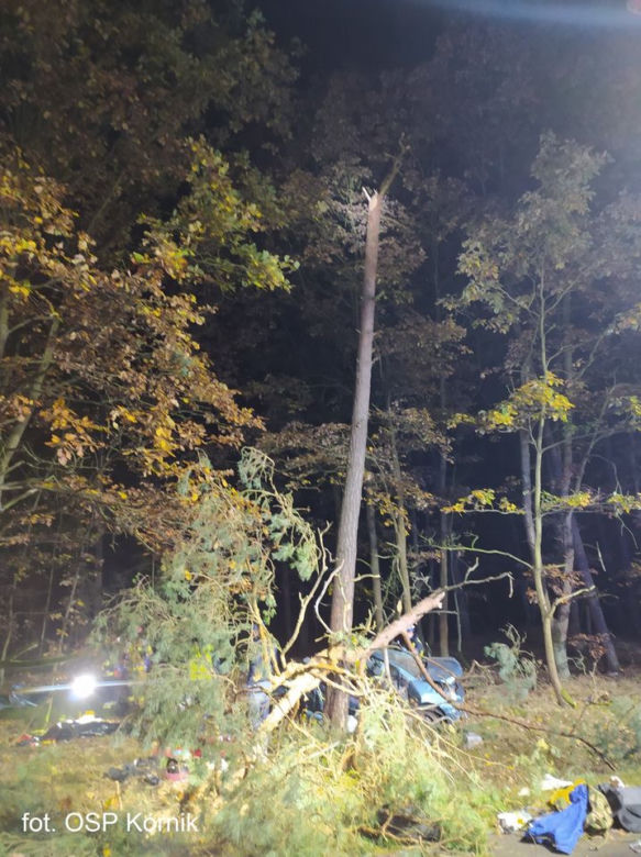 ŚMIERĆ dwóch 18-latków! Nocny dramat na drodze pod Poznaniem