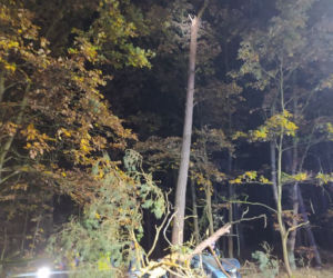 ŚMIERĆ dwóch 18-latków! Nocny dramat na drodze pod Poznaniem