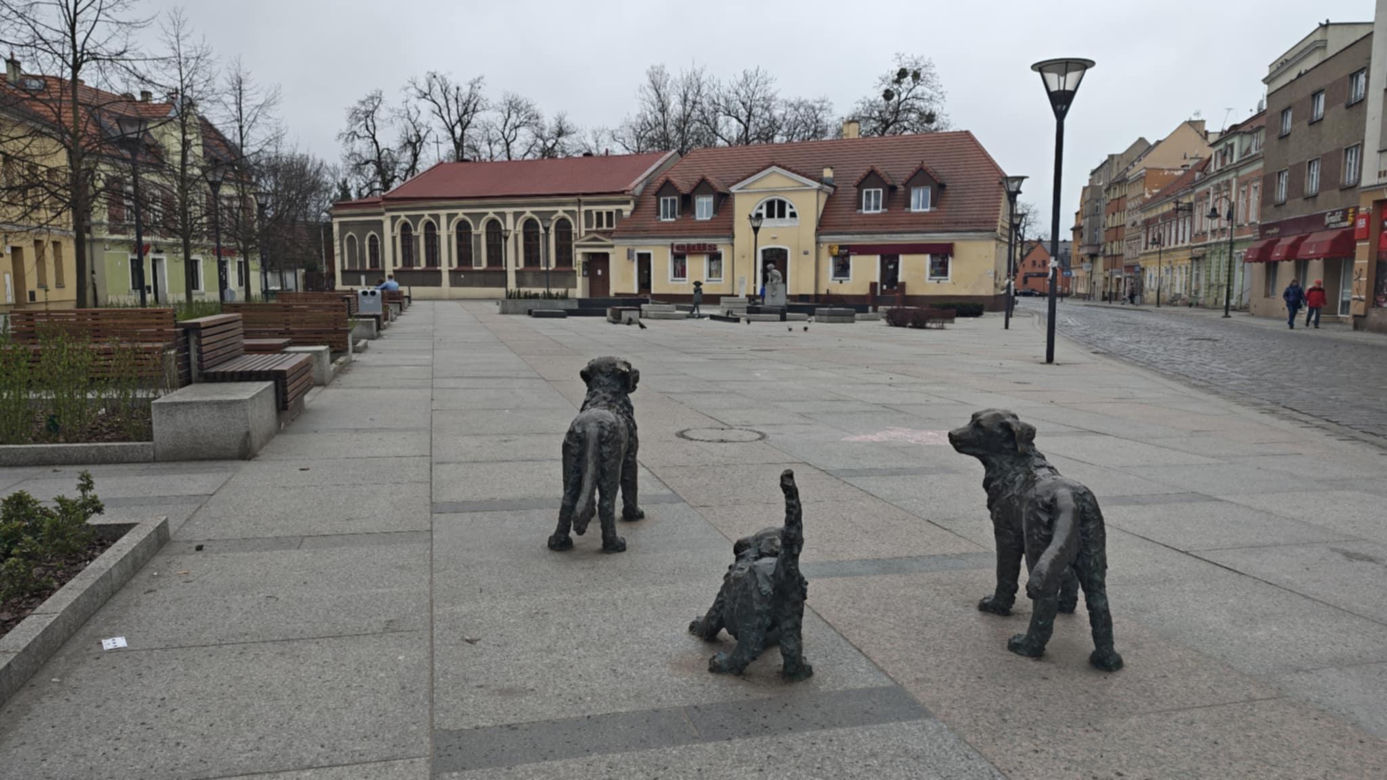 Prawie 100 lat temu było osobnym miastem. Dziś, jest częścią Wrocławia 