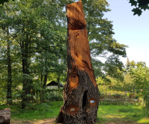 Park Kępa Potocka z nowymi rzeźbami