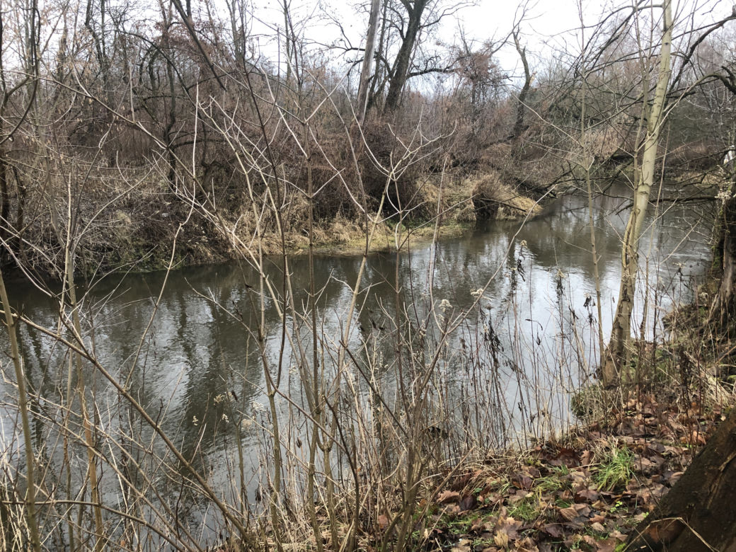 Ciało wyłowione z rzeki w Piasecznie