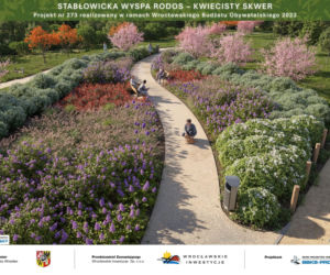 „Wyspa Rodos” we Wrocławiu. Miasto pokazało pierwsze wizualizacje