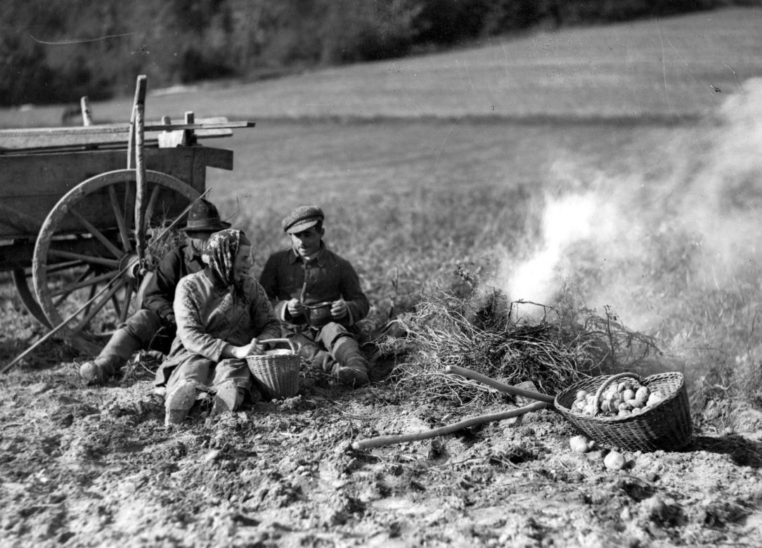 Chłopi podczas wykopków w 1934 ogrzewają się przy ognisku z łętów (wyschniętych łodyg ziemniaków)