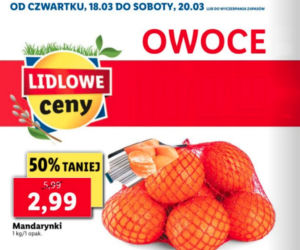 Nowe promocje w Lidlu 