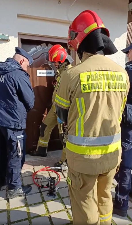Toruńska Kocia Straż. Odebrano zwierzęta