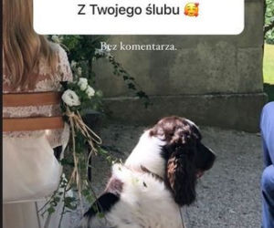 Ślub Kasi Tusk