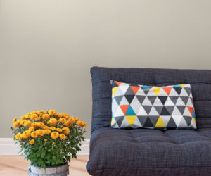 Kolory roku 2019 wg Para Paints