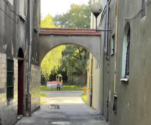Zastrzelił Michała na koncercie