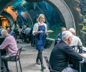 Kolacja Orientarium ZOO Łódź