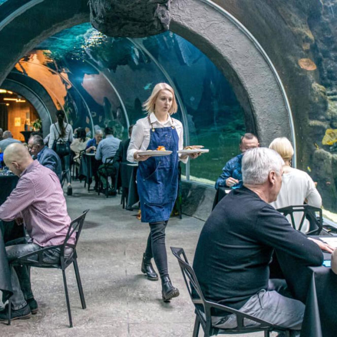 Kolacja Orientarium ZOO Łódź