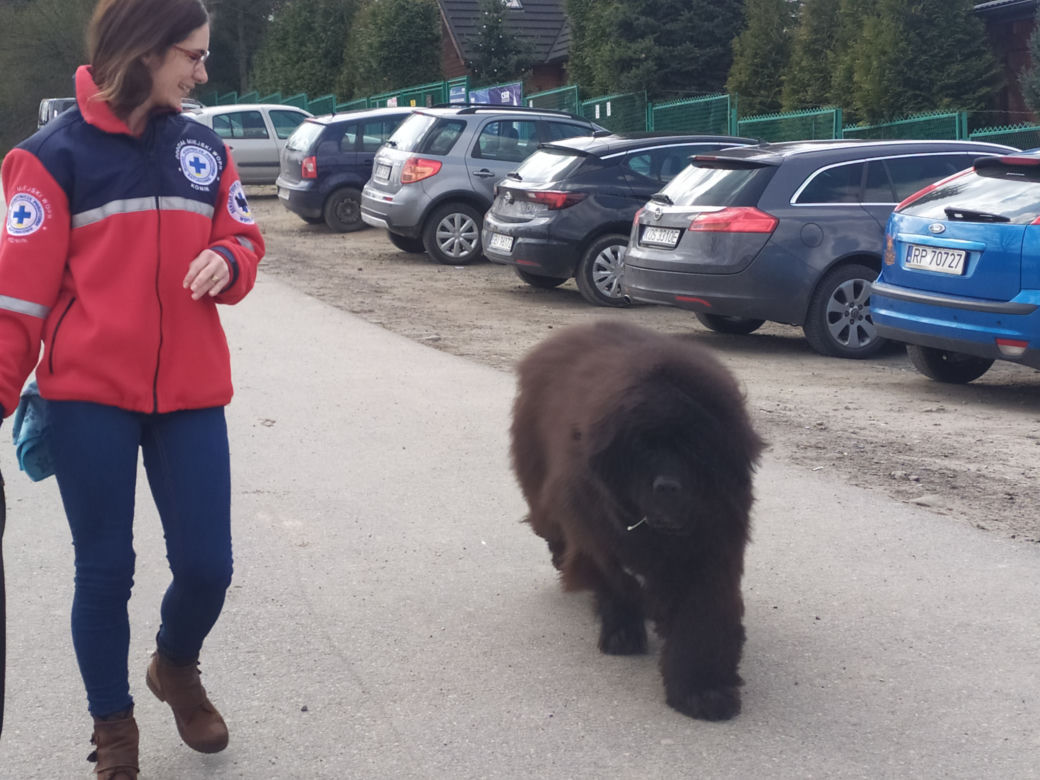 psy ratownicy WPR Żywiec