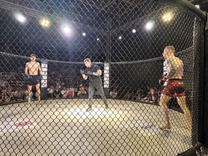 Fotorelacja z Gali Sportów Walki Taurus Fight Arena 2026 w Siedlcach