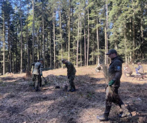 Strażnicy Graniczni sadzili drzewa z okazji 35-lecia swojej formacji