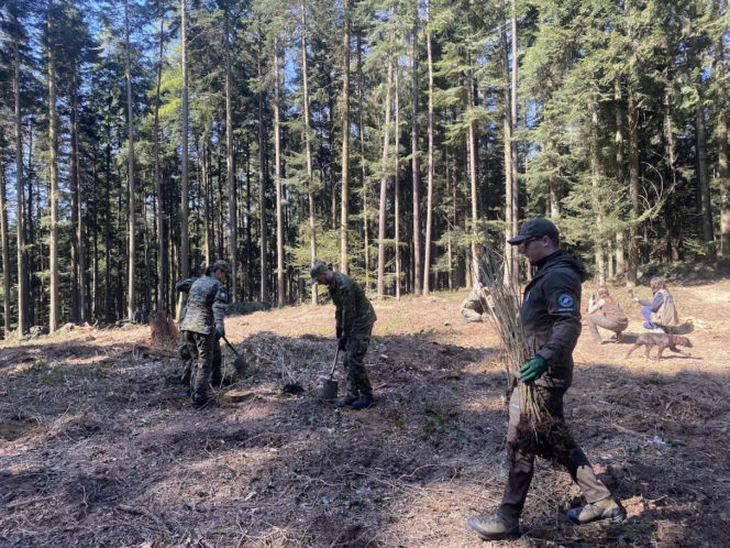 Strażnicy Graniczni sadzili drzewa z okazji 35-lecia swojej formacji