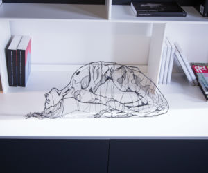 PIÓRO 3D