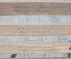 Ławeczki nad bluszczową rzeką