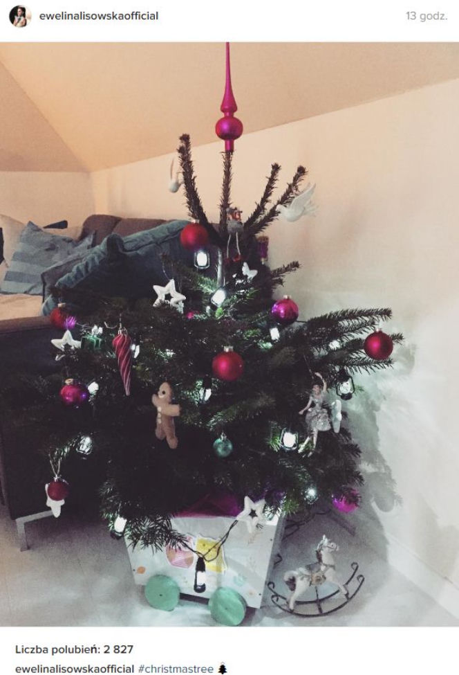 Choinki gwiazd na Boże Narodzenie 2016